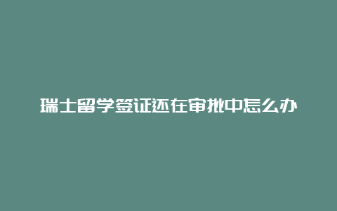 瑞士留学签证还在审批中怎么办