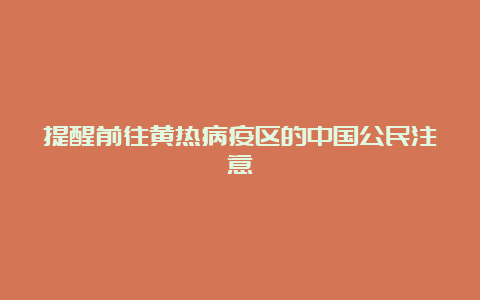 提醒前往黄热病疫区的中国公民注意