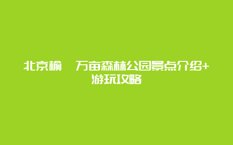 北京榆垡万亩森林公园景点介绍+游玩攻略