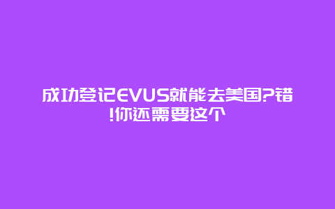 成功登记EVUS就能去美国?错!你还需要这个