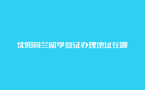 沈阳荷兰留学签证办理地址在哪