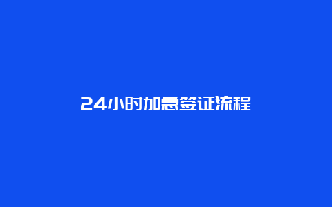 24小时加急签证流程