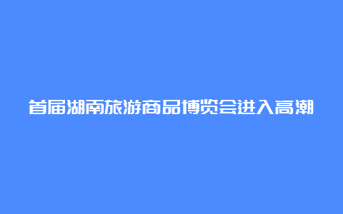 首届湖南旅游商品博览会进入高潮