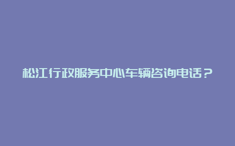 松江行政服务中心车辆咨询电话？