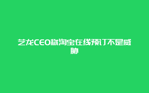 艺龙CEO称淘宝在线预订不是威胁