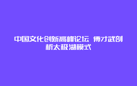 中国文化创新高峰论坛 傅才武剖析太极湖模式