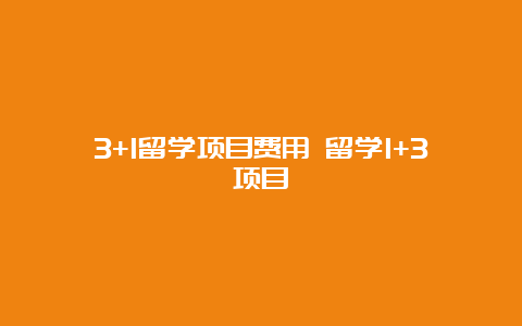 3+1留学项目费用 留学1+3项目