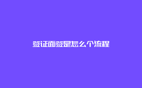 签证面签是怎么个流程