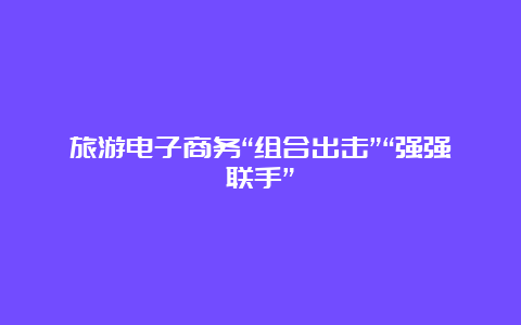 旅游电子商务“组合出击”“强强联手”