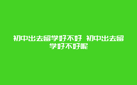 初中出去留学好不好 初中出去留学好不好呢