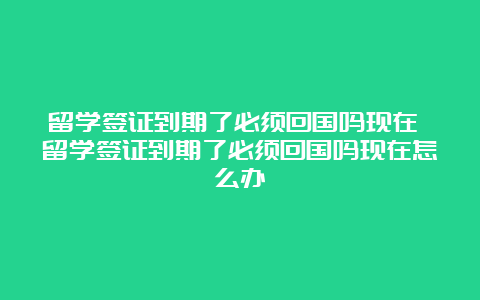 留学签证到期了必须回国吗现在 留学签证到期了必须回国吗现在怎么办