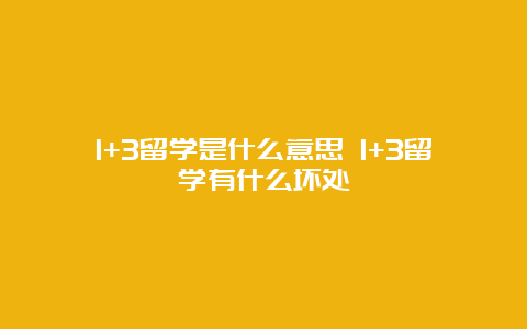 1+3留学是什么意思 1+3留学有什么坏处