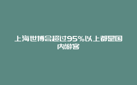 上海世博会超过95%以上都是国内游客