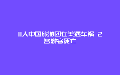 11人中国旅游团在美遇车祸 2名游客死亡