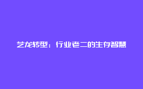 艺龙转型：行业老二的生存智慧