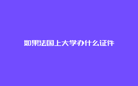 如果法国上大学办什么证件