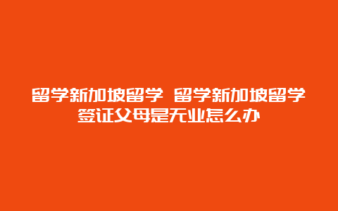 留学新加坡留学 留学新加坡留学签证父母是无业怎么办