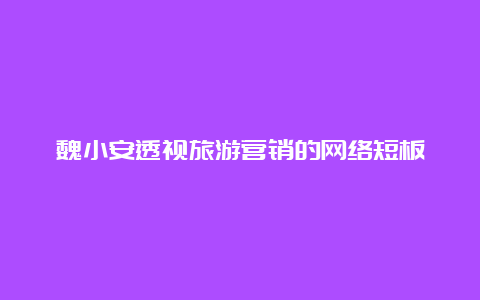 魏小安透视旅游营销的网络短板