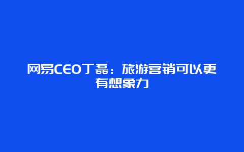 网易CEO丁磊：旅游营销可以更有想象力