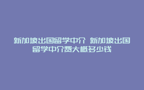 新加坡出国留学中介 新加坡出国留学中介费大概多少钱