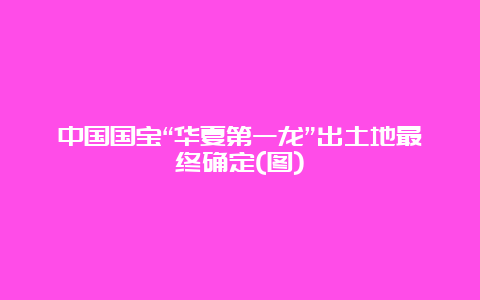 中国国宝“华夏第一龙”出土地最终确定(图)