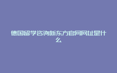 德国留学咨询新东方官网网址是什么