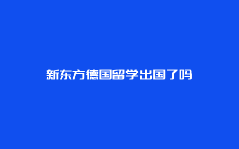 新东方德国留学出国了吗