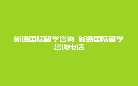 新通国际留学咨询 新通国际留学咨询电话