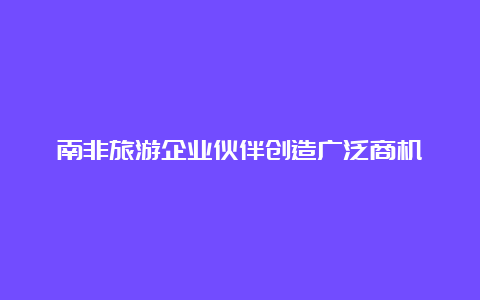 南非旅游企业伙伴创造广泛商机