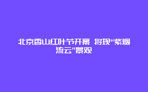 北京香山红叶节开幕 将现“紫烟流云”景观