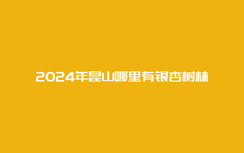 2024年昆山哪里有银杏树林