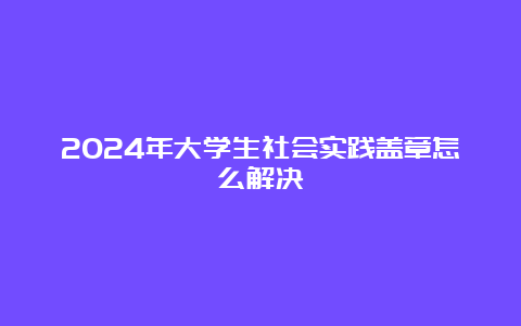 2024年大学生社会实践盖章怎么解决