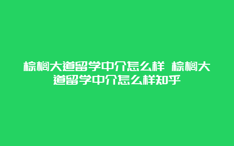 棕榈大道留学中介怎么样 棕榈大道留学中介怎么样知乎