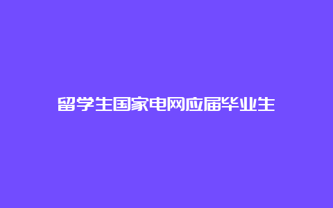 留学生国家电网应届毕业生