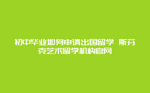 初中毕业如何申请出国留学 斯芬克艺术留学机构官网