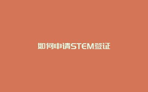 如何申请STEM签证