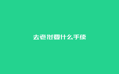 去老挝要什么手续