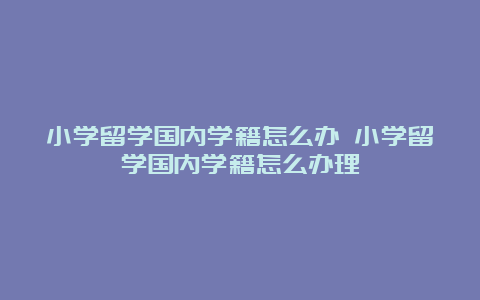 小学留学国内学籍怎么办 小学留学国内学籍怎么办理