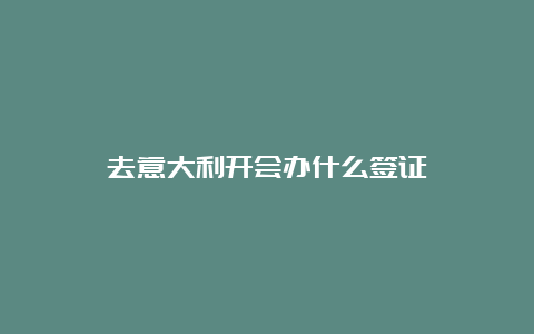 去意大利开会办什么签证