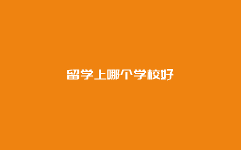 留学上哪个学校好