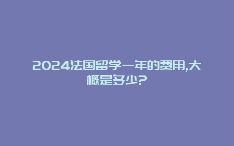 2024法国留学一年的费用,大概是多少?