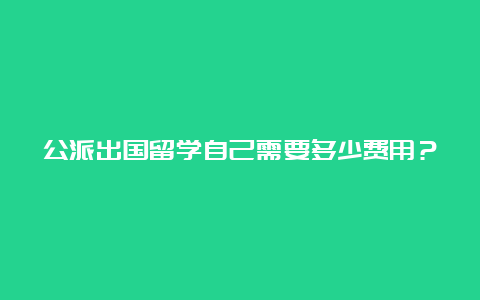 公派出国留学自己需要多少费用？