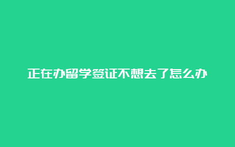 正在办留学签证不想去了怎么办