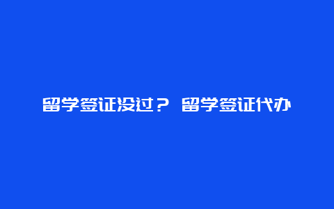 留学签证没过？ 留学签证代办