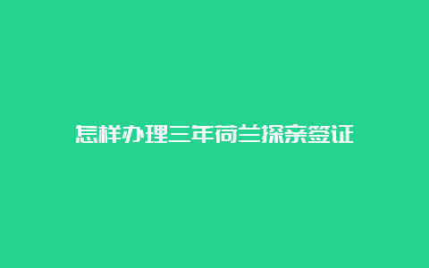 怎样办理三年荷兰探亲签证