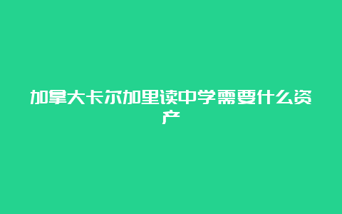 加拿大卡尔加里读中学需要什么资产