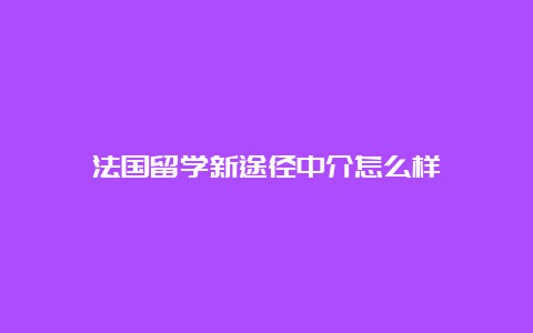 法国留学新途径中介怎么样