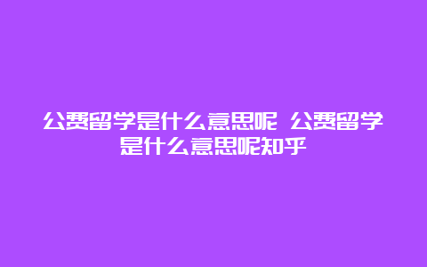 公费留学是什么意思呢 公费留学是什么意思呢知乎