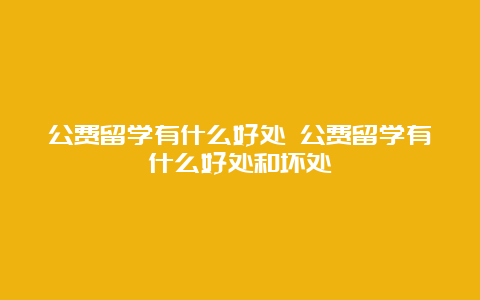 公费留学有什么好处 公费留学有什么好处和坏处