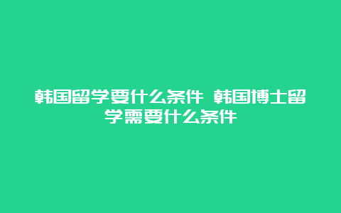 韩国留学要什么条件 韩国博士留学需要什么条件